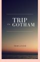 A Trip To Gotham by morganlbr