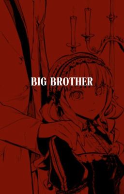 ‎BIG BROTHER || BSD cover