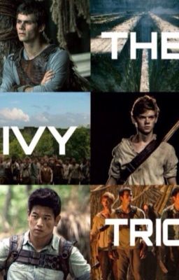 Maze Runner Preferences cover