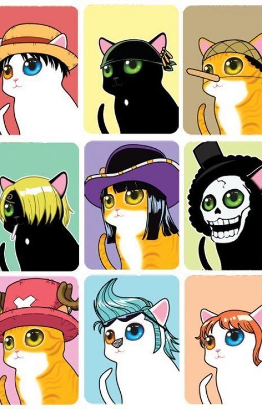 ONE PIECE CATS by BeauBellegarde