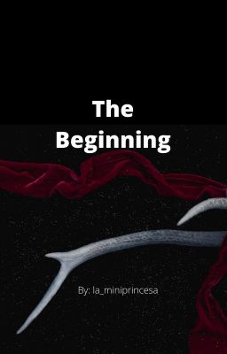 The beginning (Discontinued For Now) cover