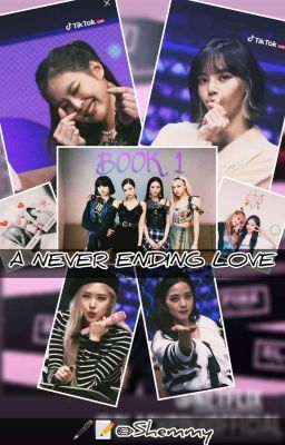 A NEVER ENDING LOVE- BOOK 1  (JENLISA/CHAESOO FF) (COMPLETED) cover