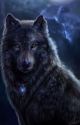 THE BLACK WOLF by LauraCorrea798