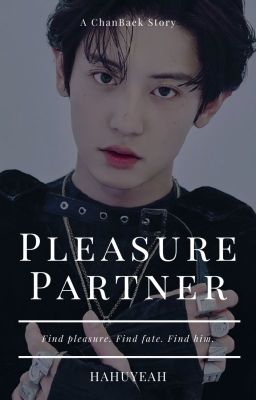 Pleasure Partner cover