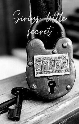 Siruis' Little Secret cover