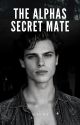 The Alphas Secret Mate by 77AlexRK