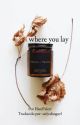 Where you lay | l.s | traducción by onlyafangurl