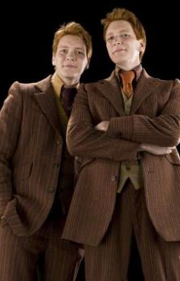 The weasley Twins cover