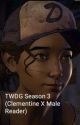 TWDG Season 3 (Clementine X Male Reader) by Karmacr