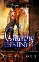 Angel of Fire - Chasing Destiny - Book Three ***COMPLETE!!!*** by Somerlea