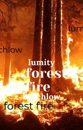 forest fire (lumity and boschlow) by Lumity1378