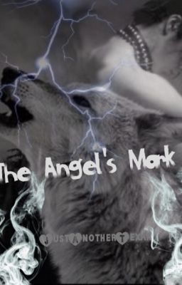 The Angel's Mark (boyxboy) cover