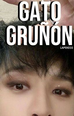 Gato Gruñón  (SeungChan) cover