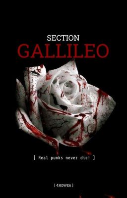 SECTION GALLILEO [ EDITING ] cover