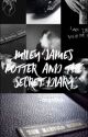 Miley James Potter & the Secret Diary by gruff_indor