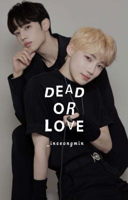 [C] Dead or Love | sunnew cover