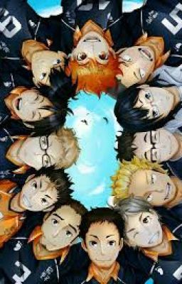 Haikyuu x Reader Oneshots cover