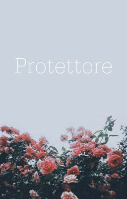 Protettore. cover