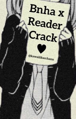 Bnha x reader crack cover