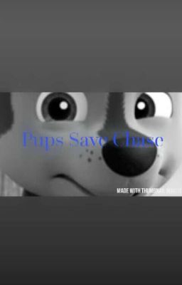 Pups Save Chase-A Paw Patrol Story cover