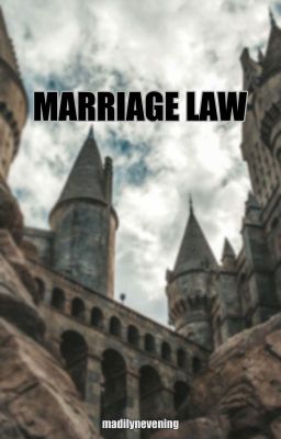 Marriage Law (d.m) cover