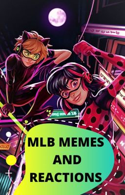 Miraculous Lady Bug and Chat Noir memes and Reactions cover