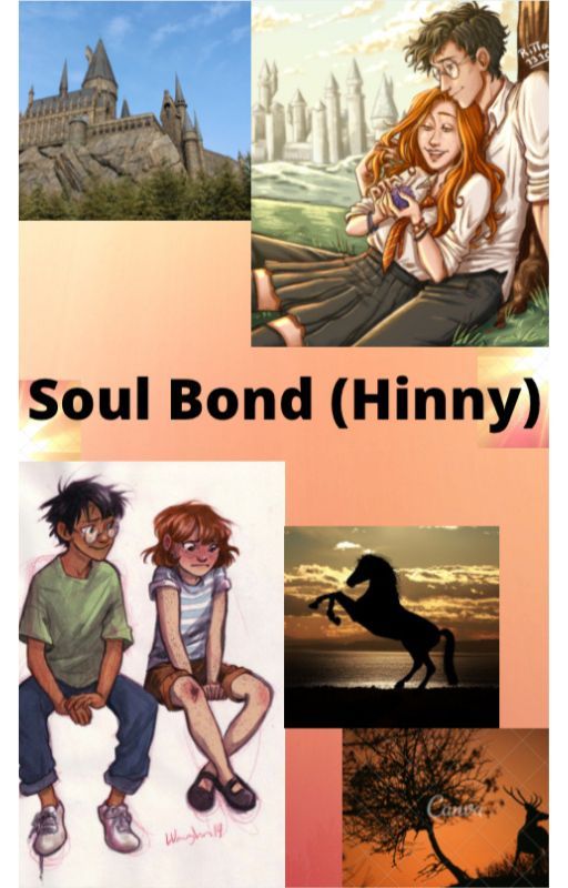 Soul Bond (Hinny) by croy22studenthausner