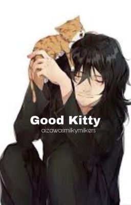 Good Kitty * Aizawa x Daughter!Reader cover