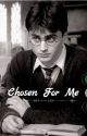 Chosen For Me// Harry James Potter x reader by luciasforeverbae