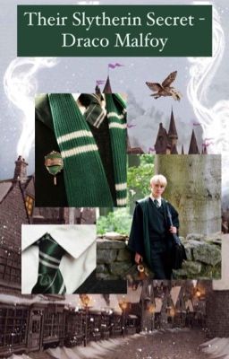 Their Slytherin Secret - Draco Malfoy cover