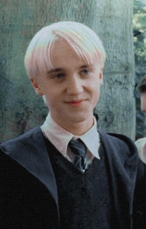 Draco Malfoy x Reader Oneshots by fange_fiction