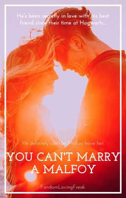 You Can't Marry a Malfoy cover