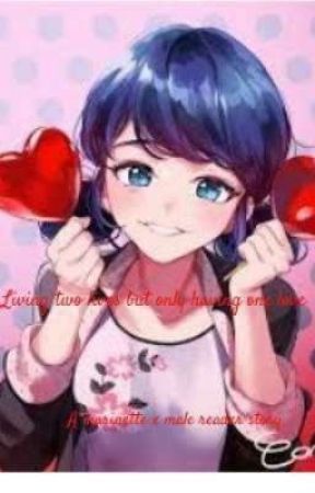 Living two lives, but only having one love. (Marinette/Ladybug x Male reader) by TheRenegadepower