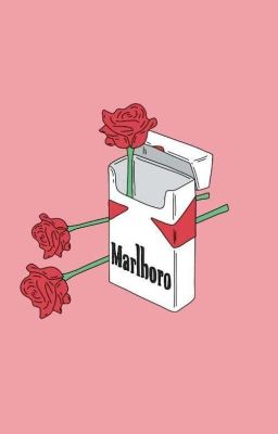 MARLBORO cover