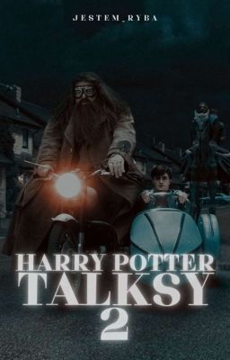 Harry Potter talksy 2 cover