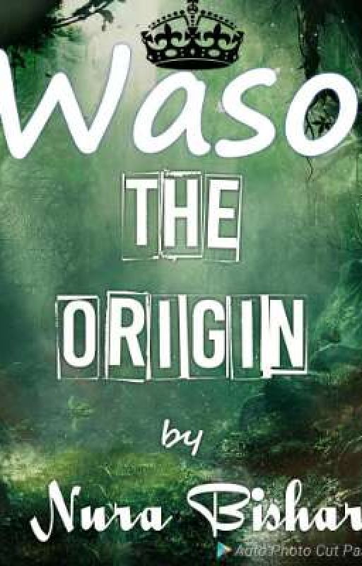 WASO: The Origin by Brinetemperature