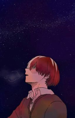 Shoto Todoroki x male reader cover