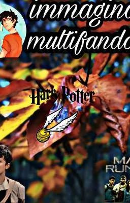 immagina multifandom cover