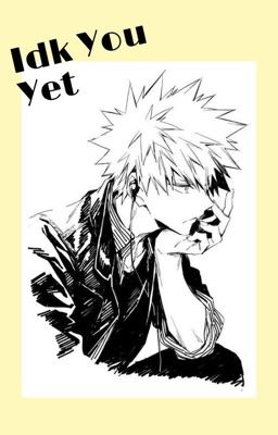 Idk You Yet 『Bakugou Katsuki x reader textfic』 cover