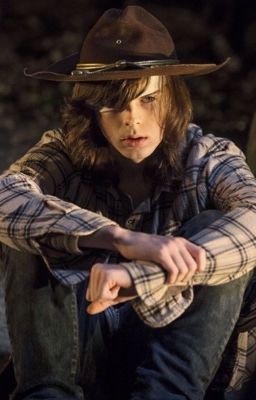 Carl Grimes x Reader imagines and one shots cover