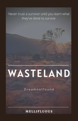 wasteland - dreamnotfound cover