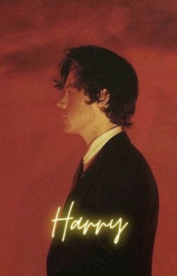 Harry || h.s. cover