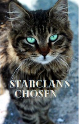 Starclan's Chosen cover