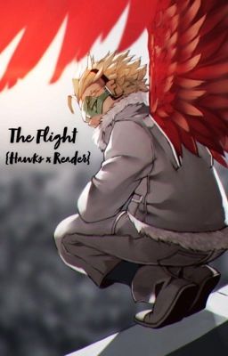 The Flight {Hawks x Reader} cover