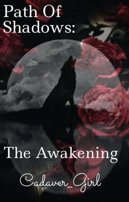 Path Of Shadows: The Awakening cover