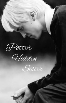 Potter Hidden Sister cover