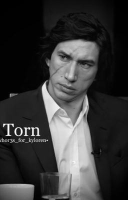 Torn / Kylo|Ben x Reader  cover