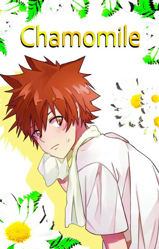 Chamomile 《KHR Fanfic》 by RoyalKareem