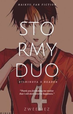 Stormy Duo(Completed) cover