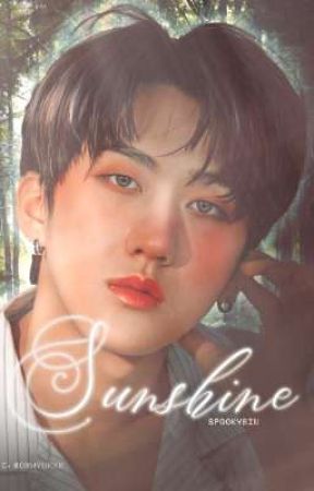 Sunshine  |||  Stray Kids  by spookybin